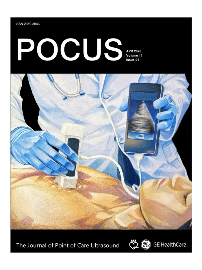 POCUS Journal cover illustration